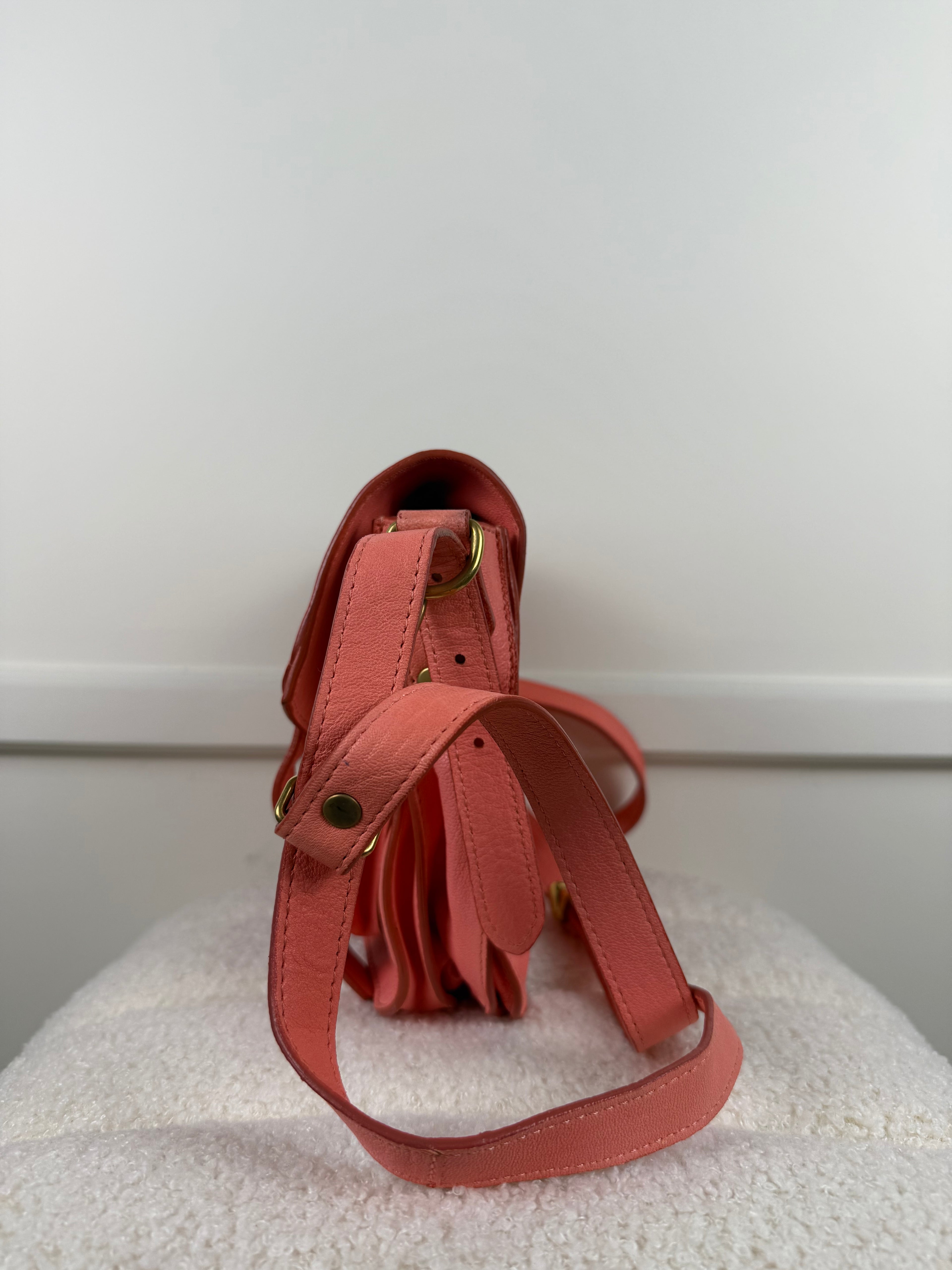 Proenza Schouler Tasche – Rosa