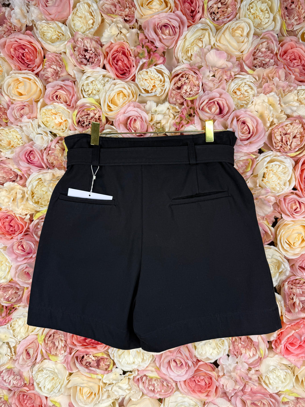 Yves Salomon High Waisted Shorts