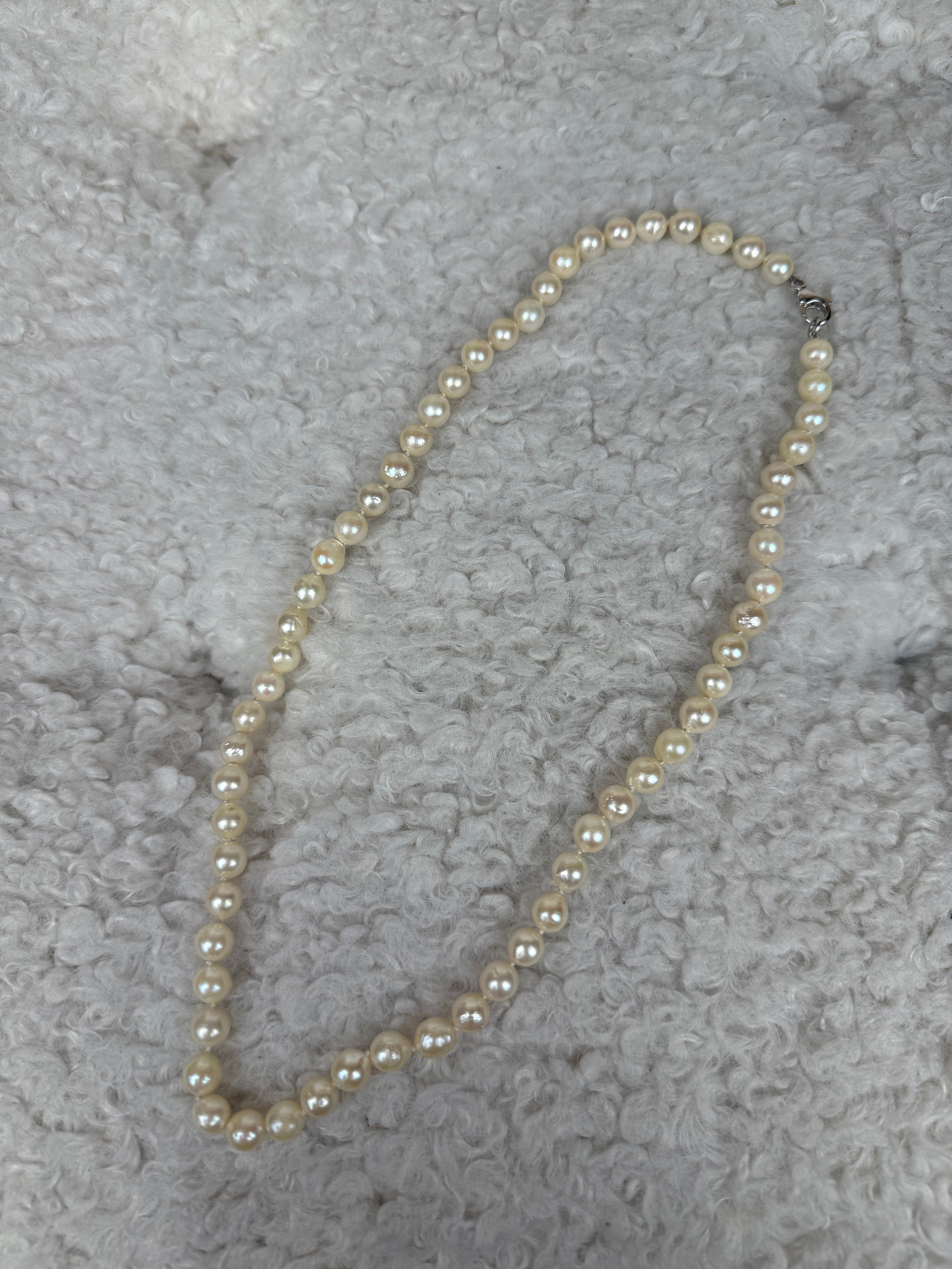 No Name Necklace Freshwater Pearls White