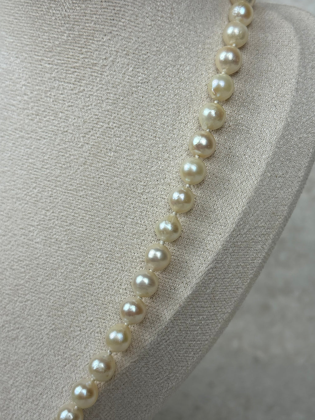 No Name Necklace Freshwater Pearls White