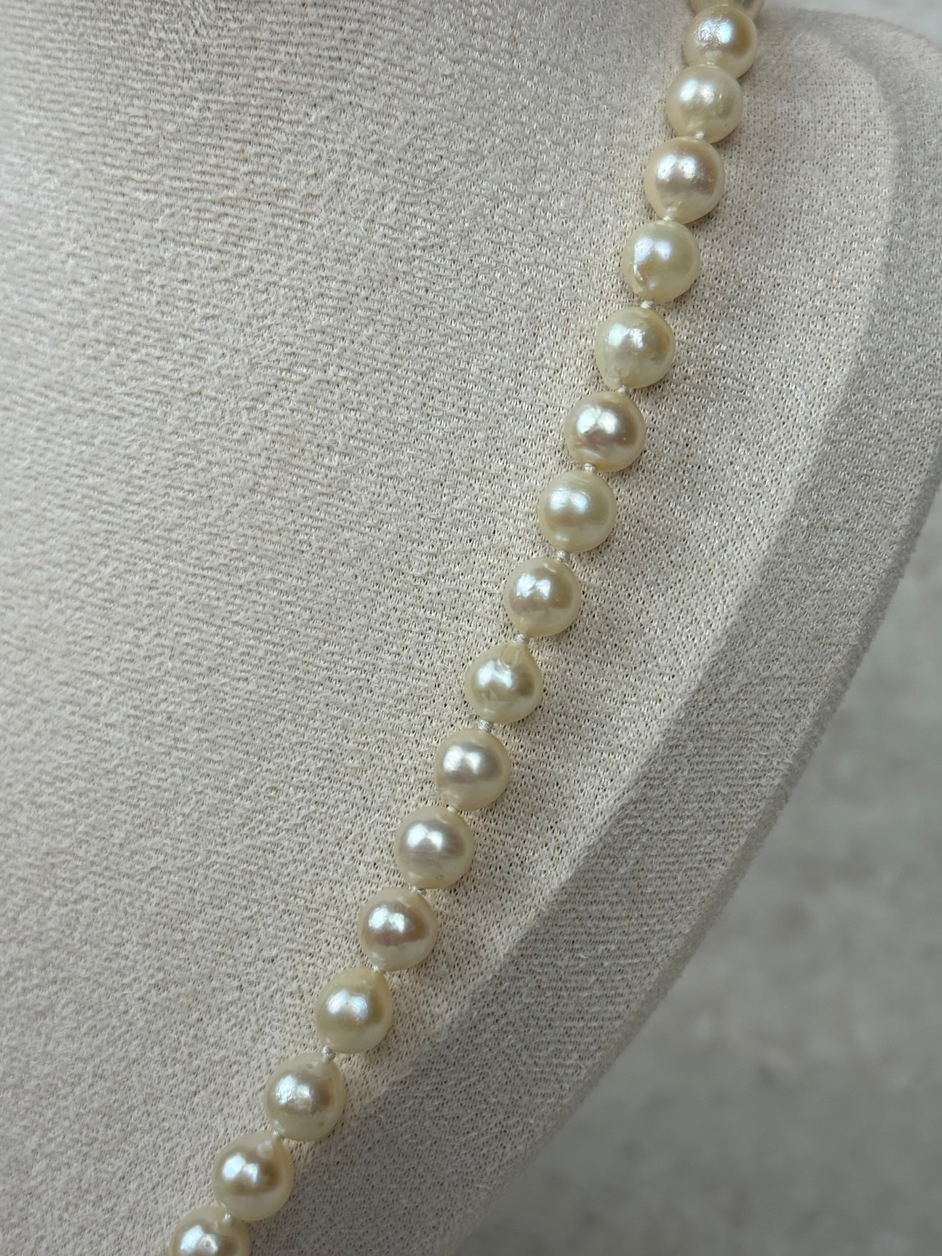 No Name Necklace Freshwater Pearls White
