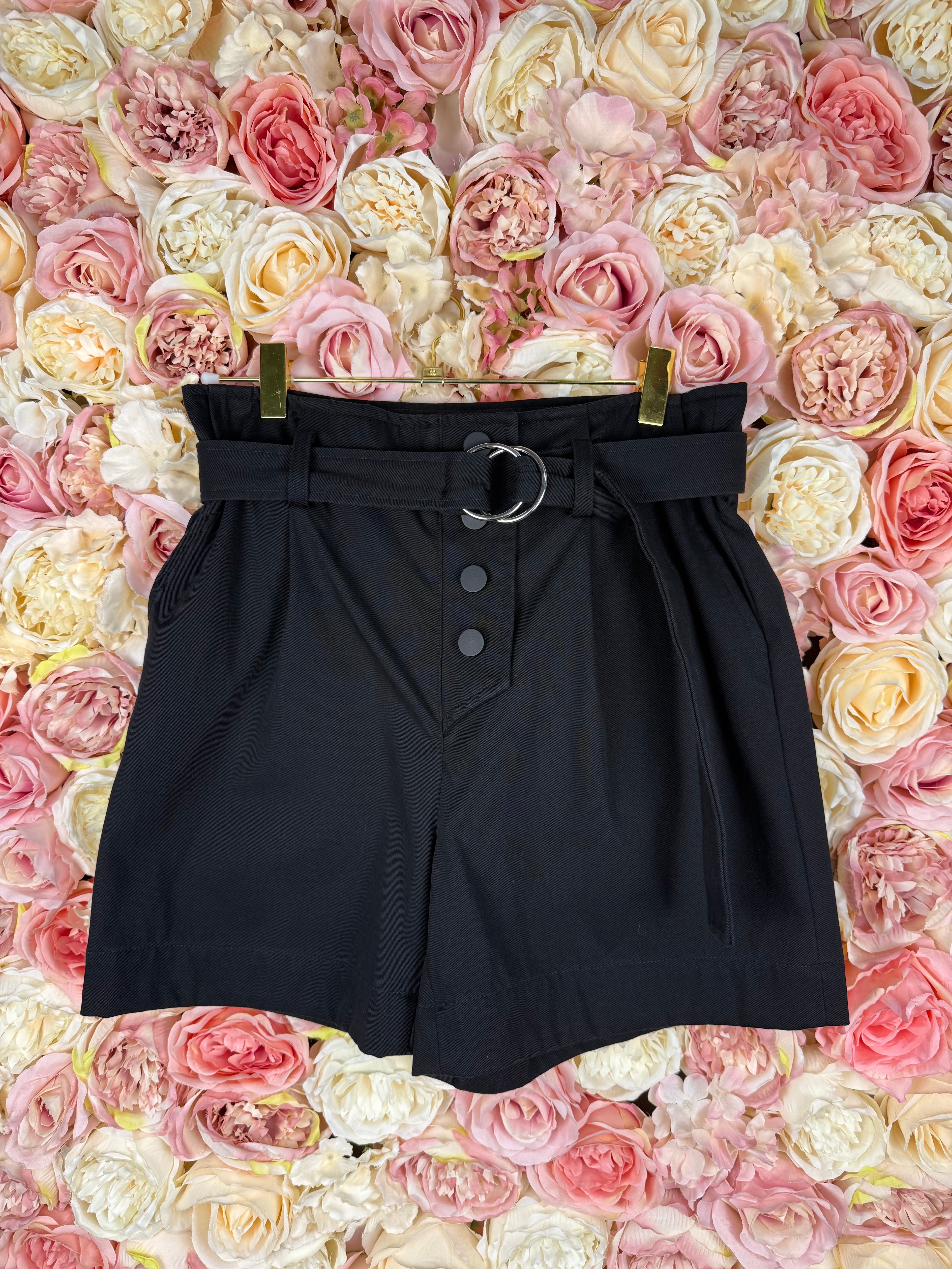 Yves Salomon High Waisted Shorts