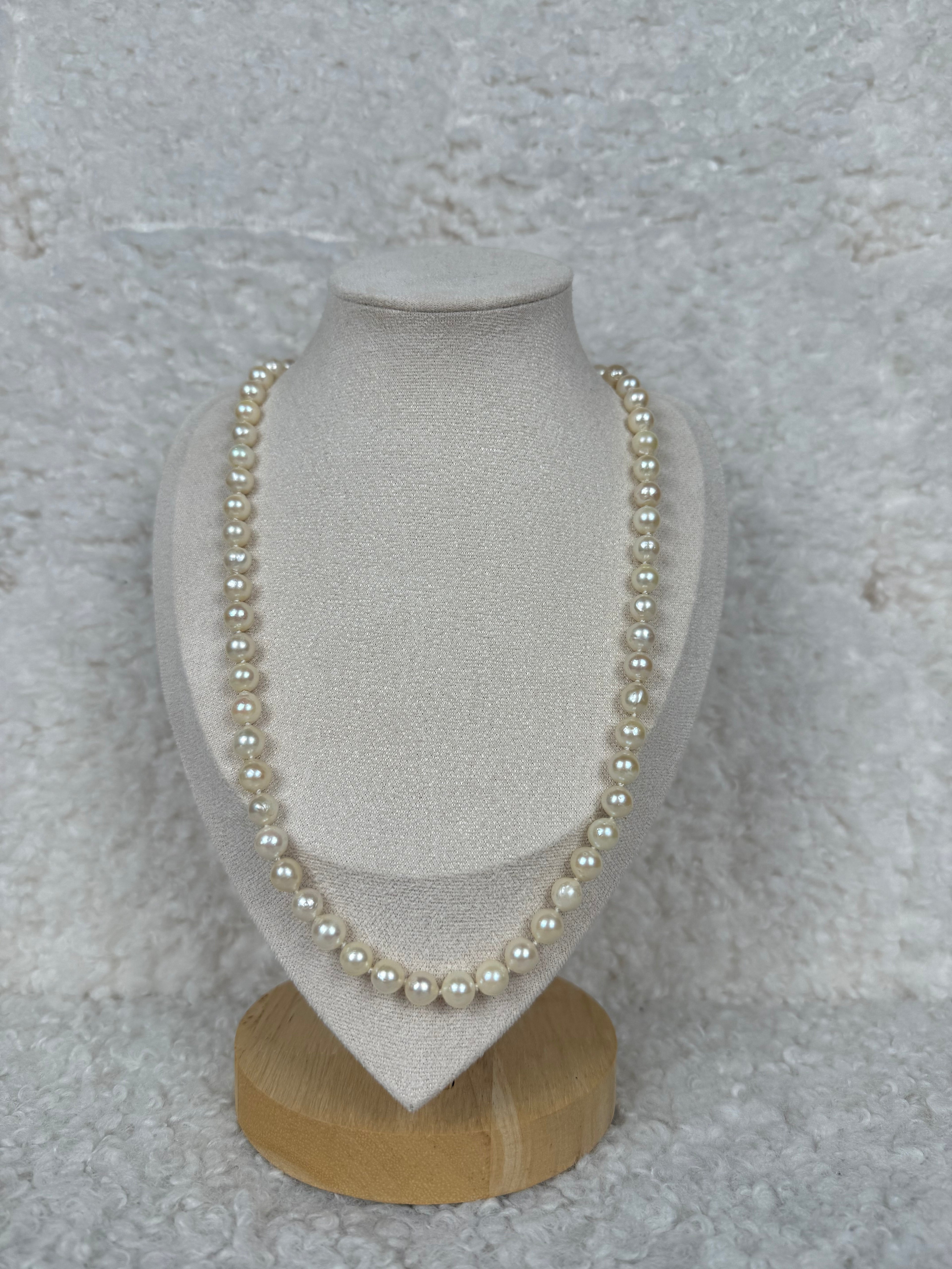 No Name Necklace Freshwater Pearls White