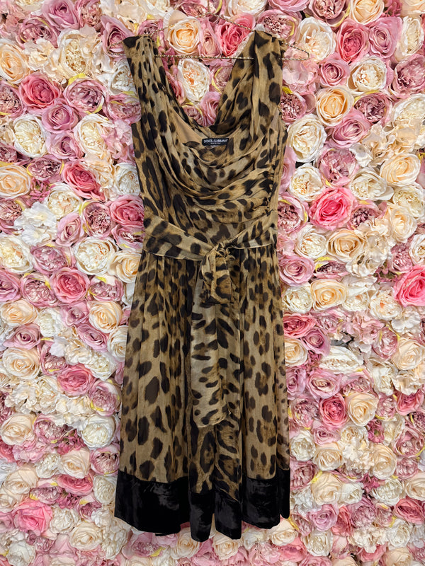 Dolce & Gabbana Silk Dress with Velvet Details Leo Print