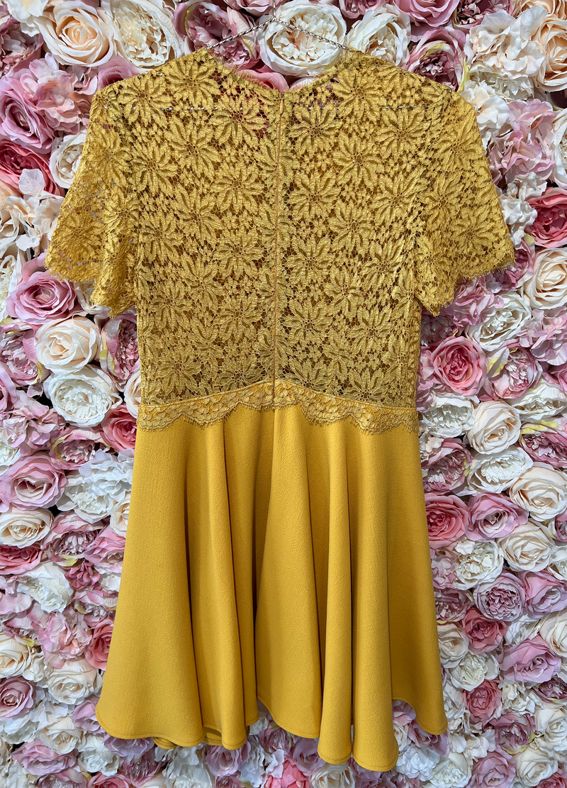 Ewa Herzog Dress Lace Top / Wool Skirt